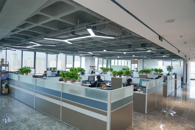 软件定制开发：构建企业数字化转型的有力助手